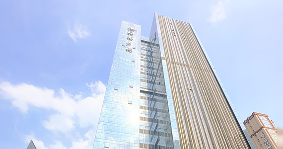 国家域名注册证书查询官网网址