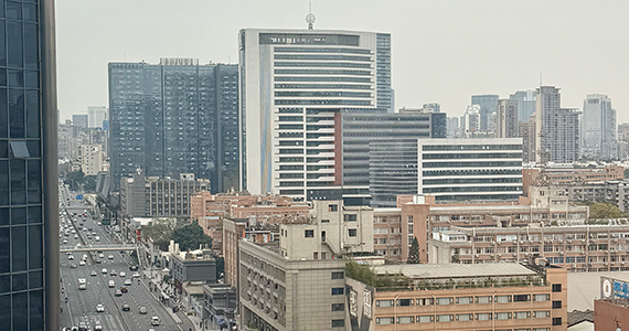 cn个人域名注册查询网址