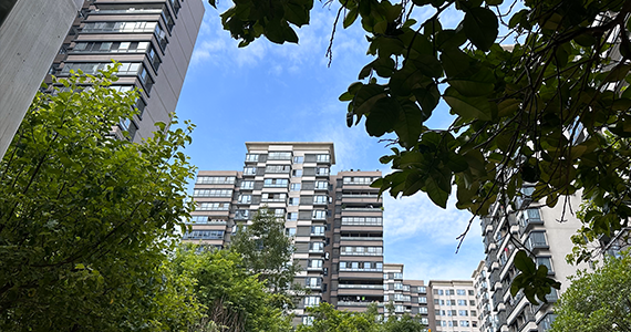 查询网址的域名服务器