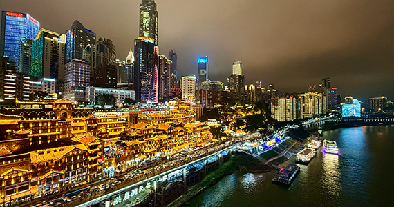 公司域名和网址怎么查询