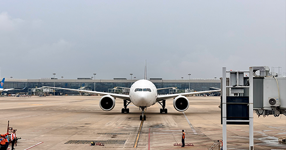 5G域名网址查询