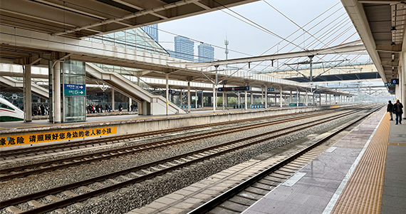 石家庄域名平台网址查询