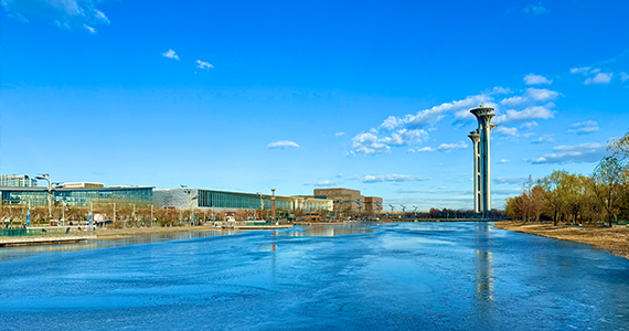 广东英文域名注册商标查询官网网址