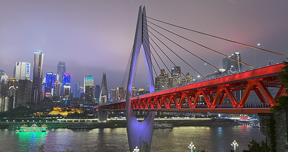 网址域名性质查询