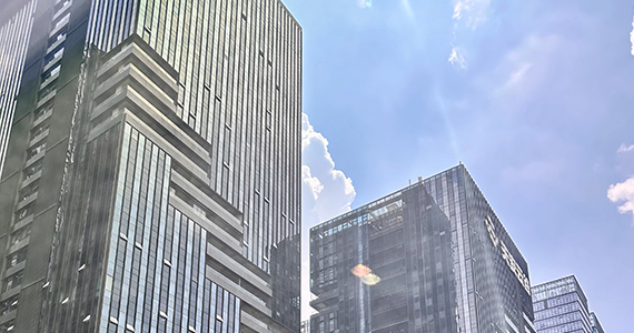 益阳职业技术学院官网域名查询网址